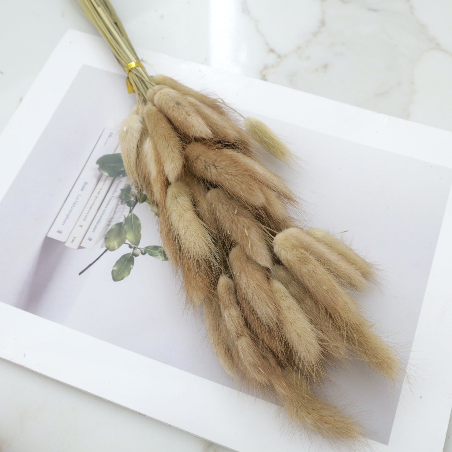 Bunny Tails Natural