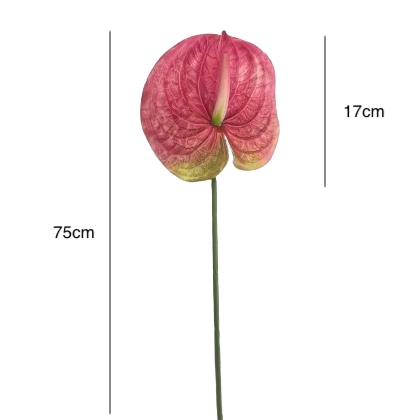 Artificial Anthurium Dark Pink