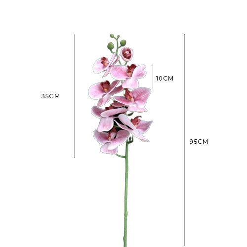 Artificial Real Touch Orchid (24)